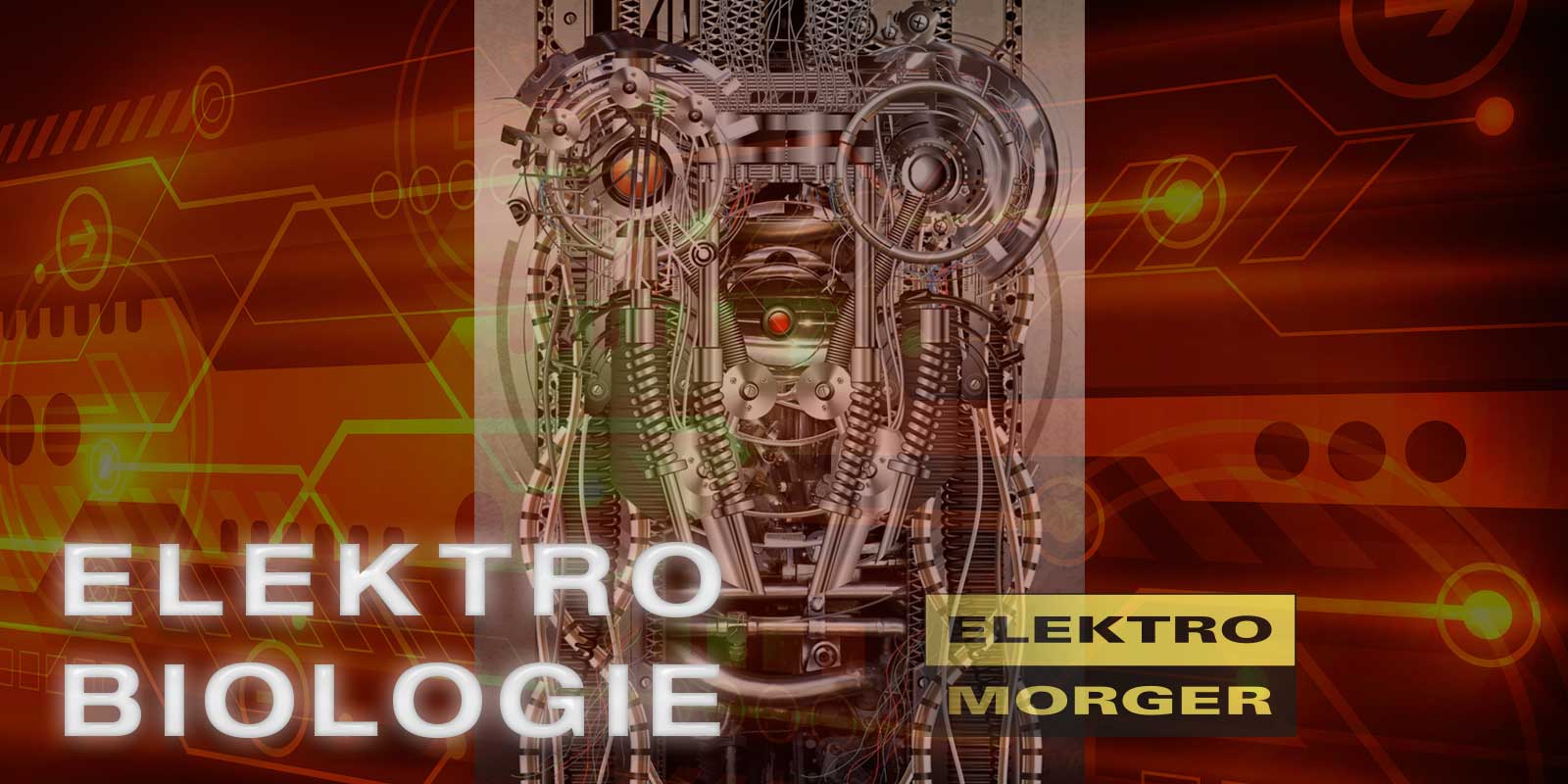 Elektro Biologie Morger 2